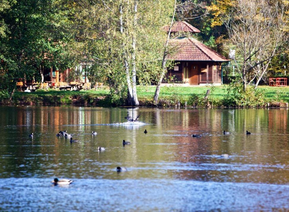 Seen- Und Felsenland Ludwigswinkel Exterior foto